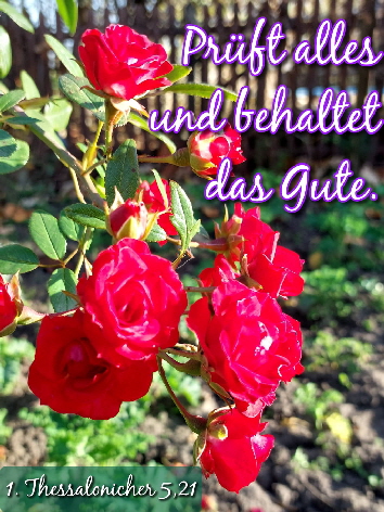 WhatsApp Bild 2025-03-05 um 11.53.10_c86dd01c