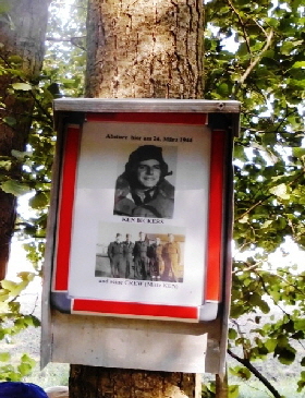 das neue Foto an der Absturzstelle das neue Foto an der Absturzstelle