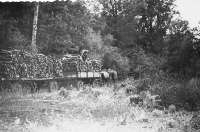 05_Aufladen von Reisigb�ndeln 1960