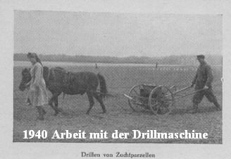 Drillen Drillen