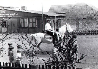 04_Birkenzweige zu Pfingstenvor den Häusern338 04_Birkenzweige zu Pfingstenvor den Häusern338