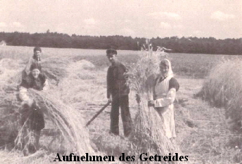 Getreide_aufnehmen Getreide_aufnehmen