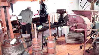 muschau0003 muschau0003